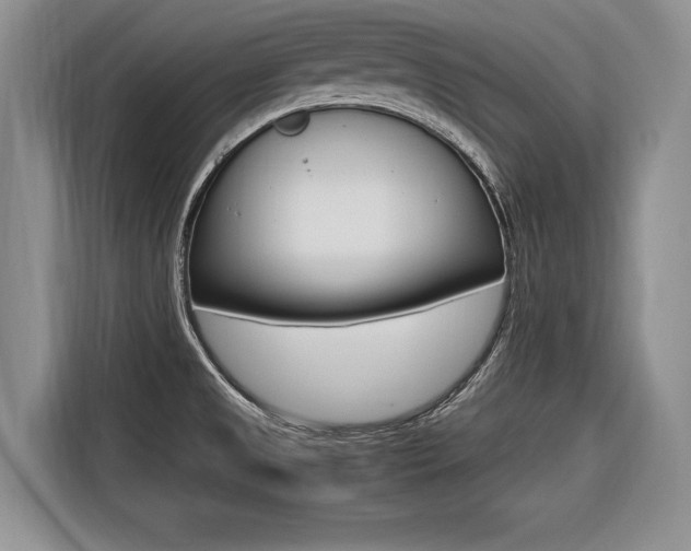 X0000116561525200912100933
