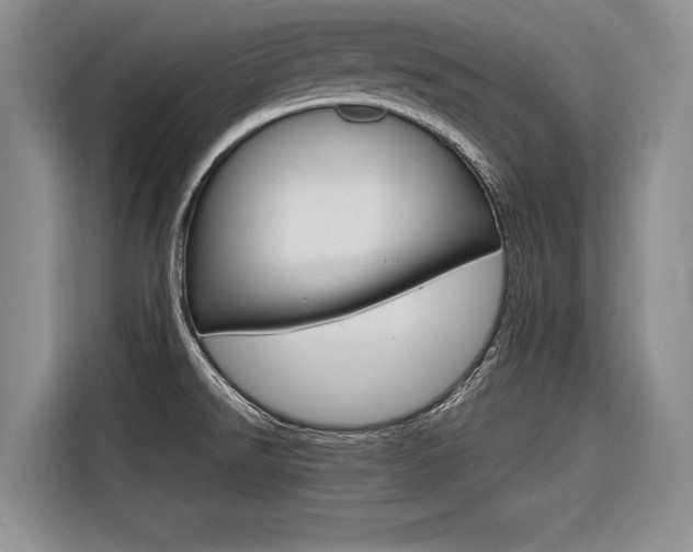 X0000116561526200912100933