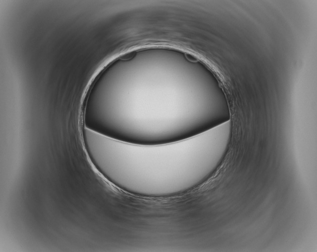 X0000116561527200912100933