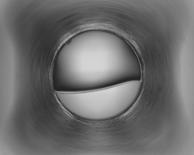X0000116561529200912100933