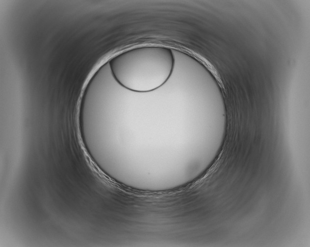 X0000116561530200912100933