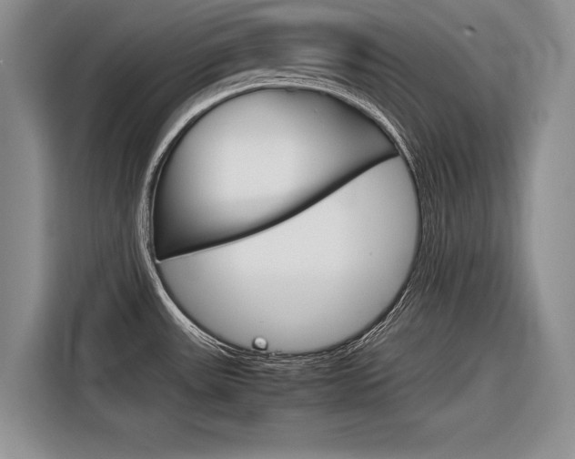 X0000116561531200912100933