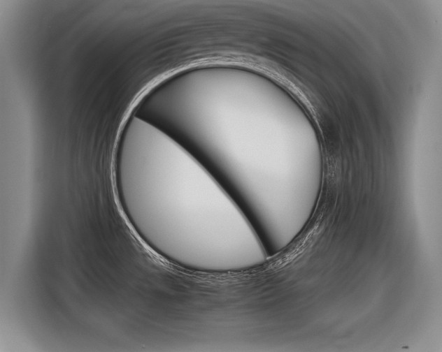 X0000116561533200912100933