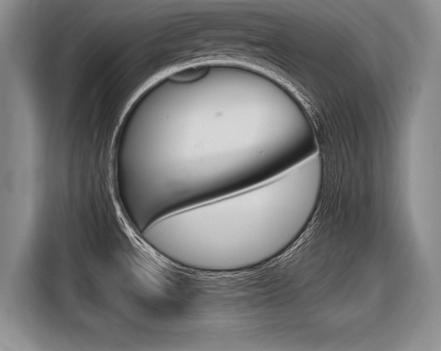X0000116561534200912100933