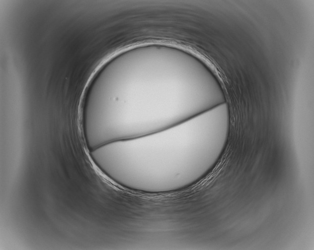 X0000116561535200912100933