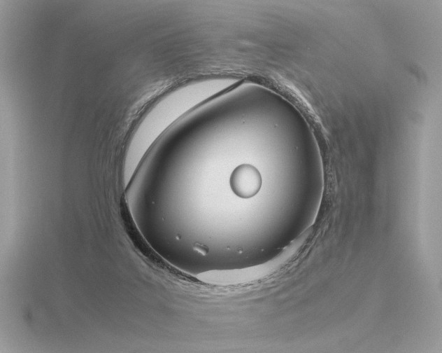 X0000116560019200912101459