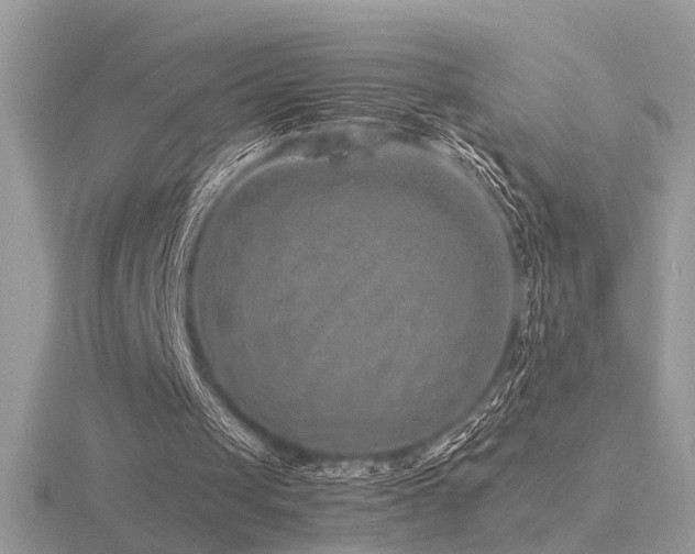 X0000116560049200912101458