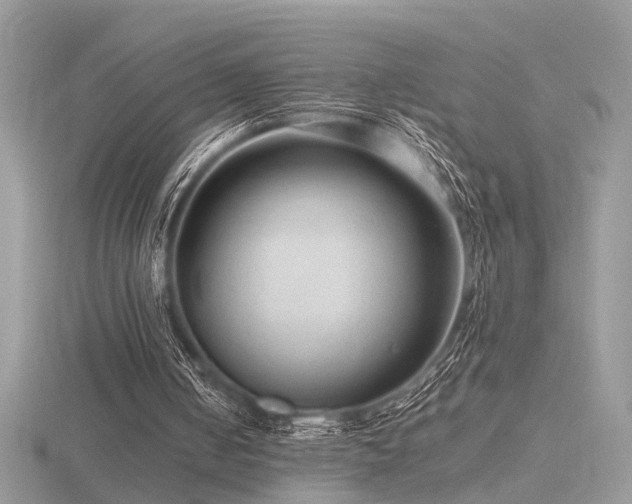 X0000116560050200912101458