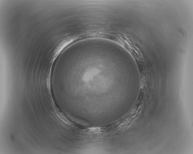 X0000116560052200912101458