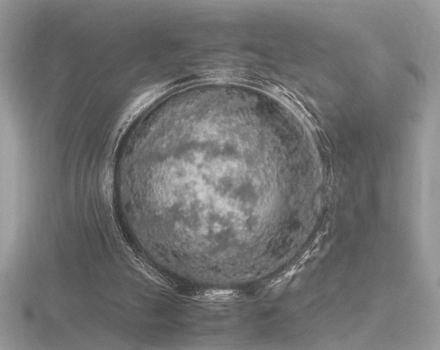 X0000116560055200912101458