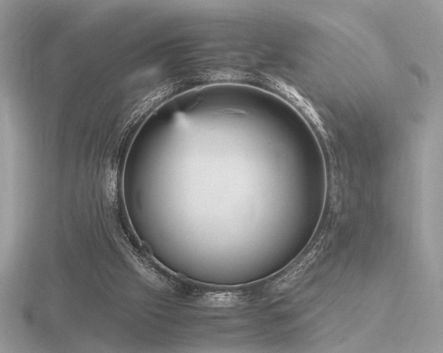 X0000116560057200912101458