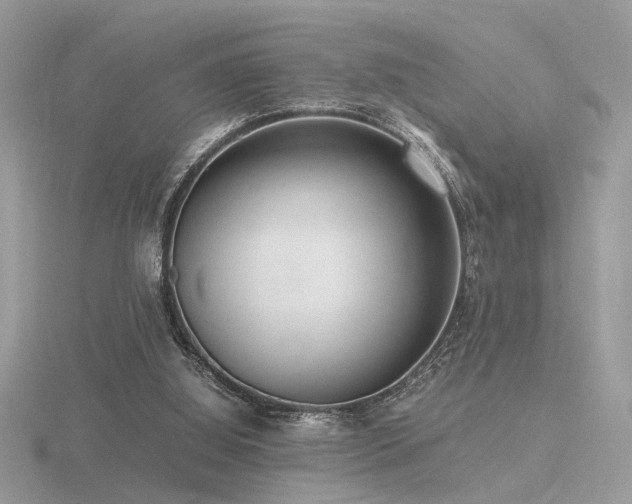 X0000116560060200912101458