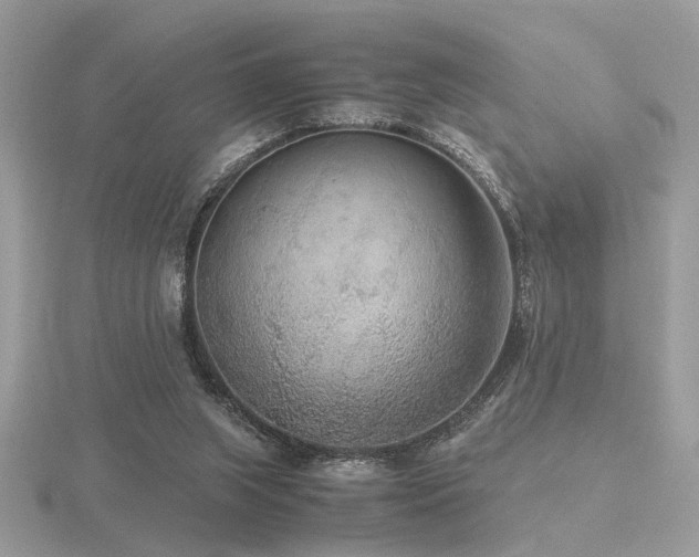 X0000116560063200912101458