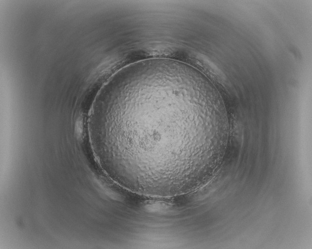 X0000116560074200912101458