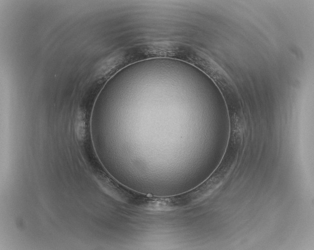 X0000116560080200912101458