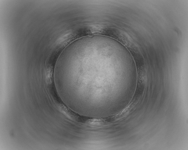 X0000116560082200912101459