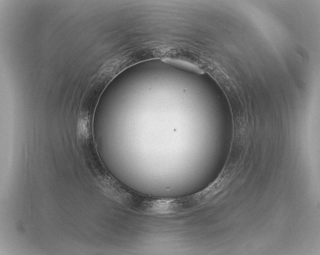 X0000116560090200912101459