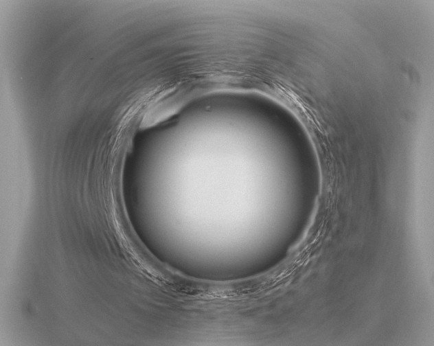 X0000116560097200912101458