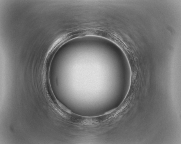 X0000116560101200912101458