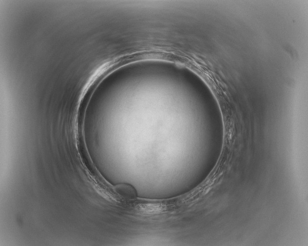 X0000116560102200912101458