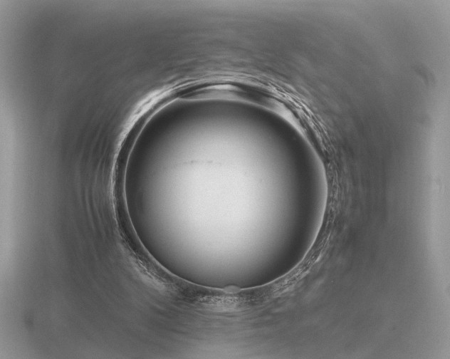 X0000116560104200912101458