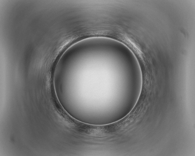 X0000116560107200912101458