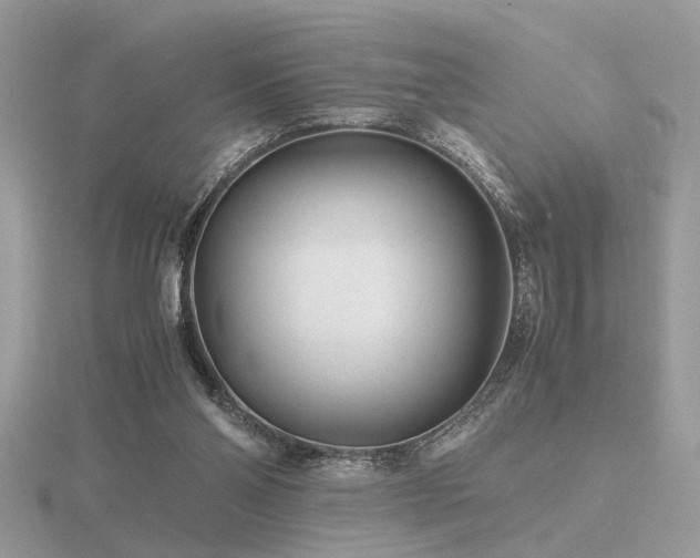 X0000116560110200912101458