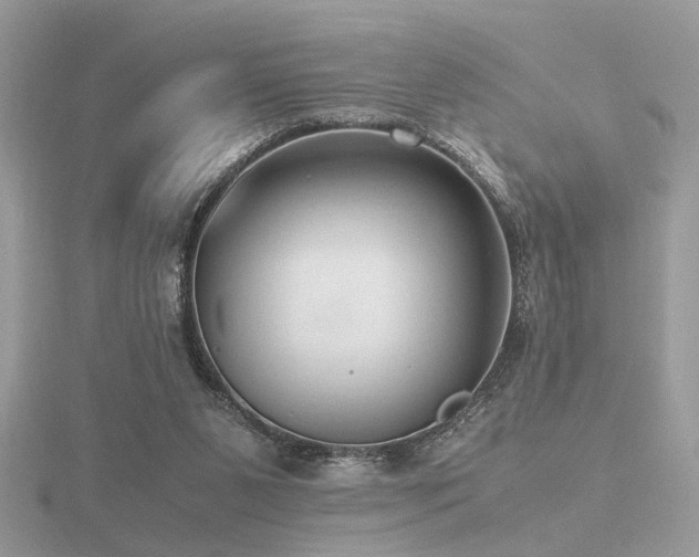 X0000116560111200912101458