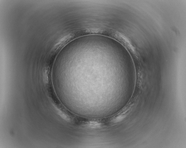X0000116560114200912101458