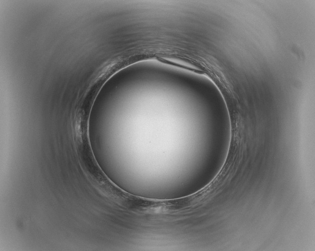 X0000116560116200912101458