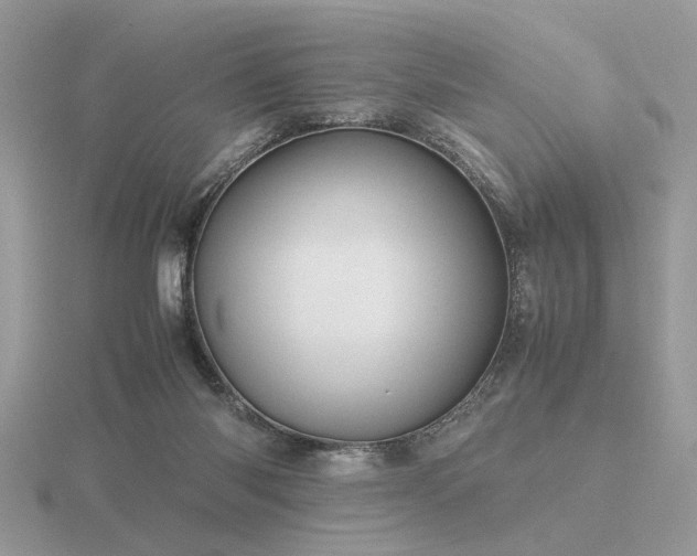 X0000116560118200912101458