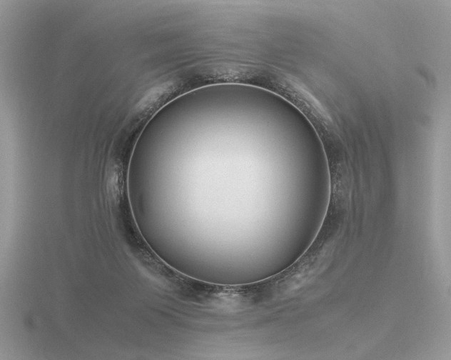 X0000116560119200912101458