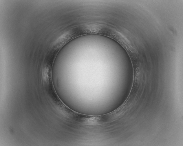 X0000116560122200912101458