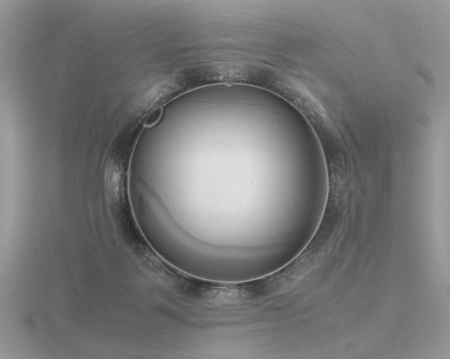 X0000116560123200912101458