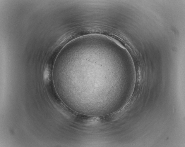 X0000116560124200912101458