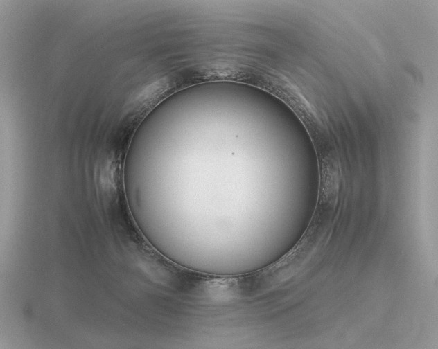 X0000116560126200912101458