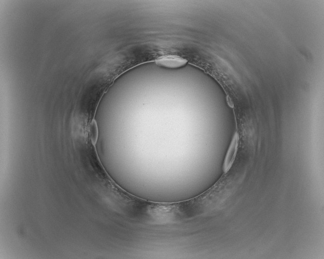 X0000116560129200912101458