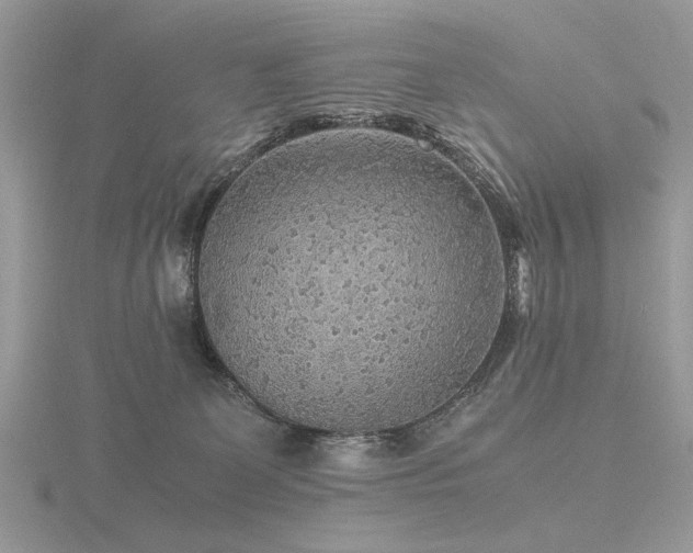 X0000116560131200912101458