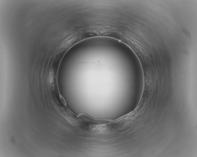 X0000116560132200912101458