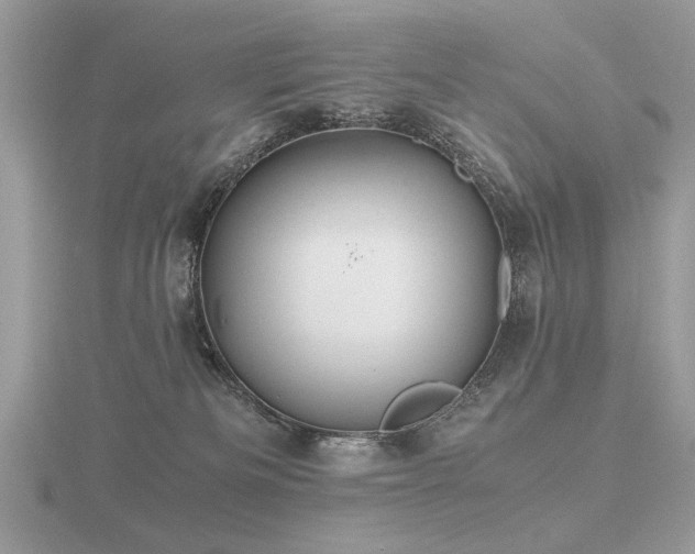 X0000116560133200912101458