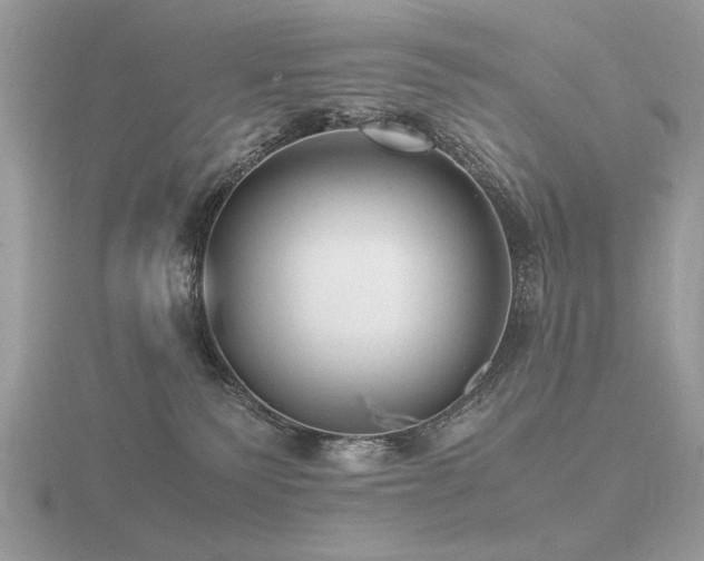 X0000116560135200912101458