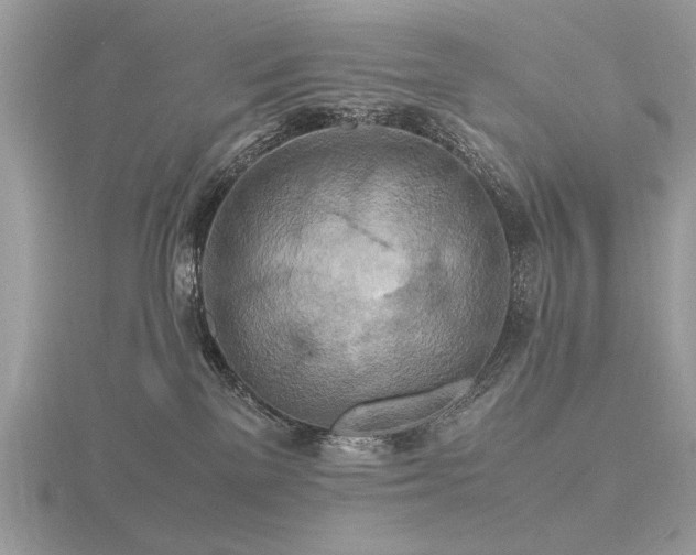 X0000116560137200912101458