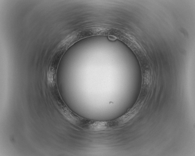 X0000116560138200912101458