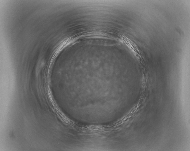 X0000116560145200912101457