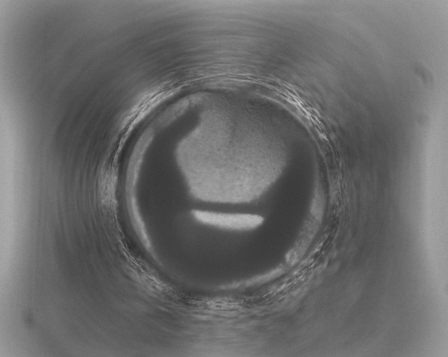 X0000116560146200912101457