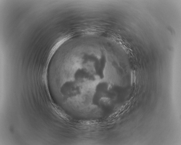 X0000116560147200912101457