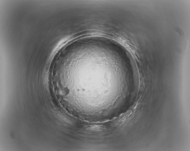 X0000116560151200912101457