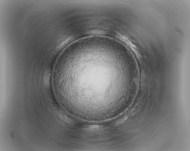 X0000116560153200912101457