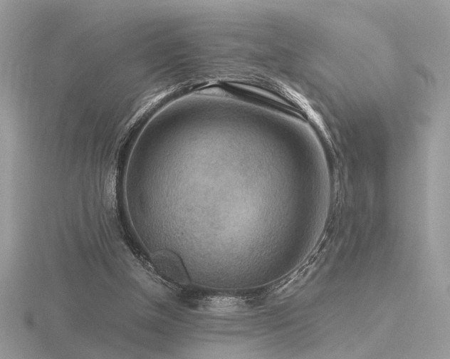 X0000116560154200912101457