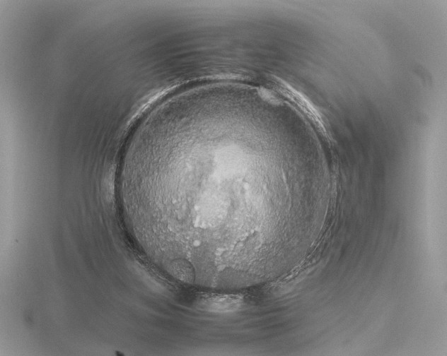 X0000116560155200912101457